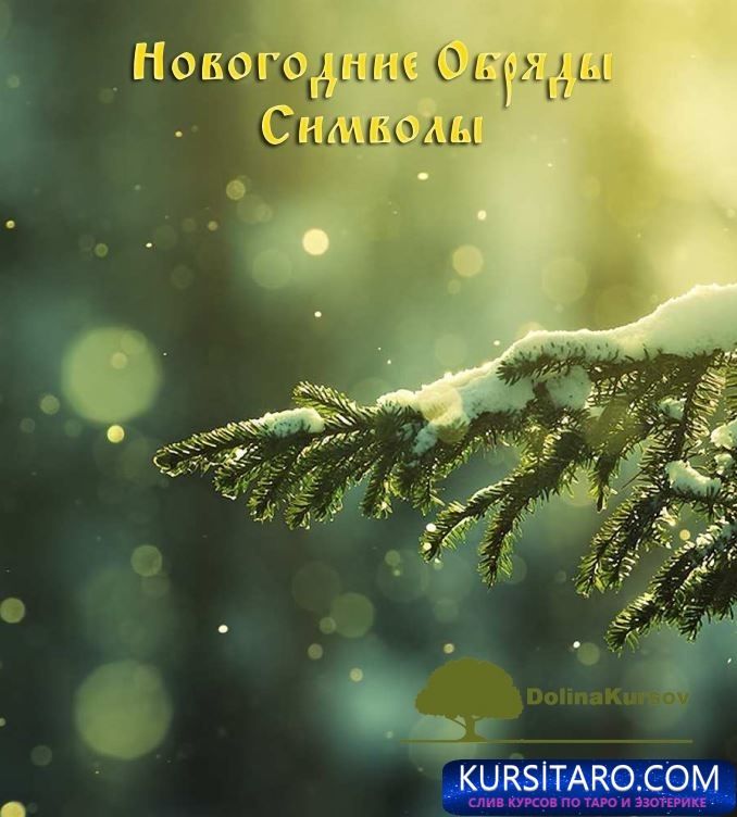 novogodnie-jpg.25068