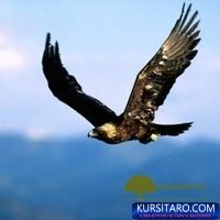 oberezhnaja-jpg.24715