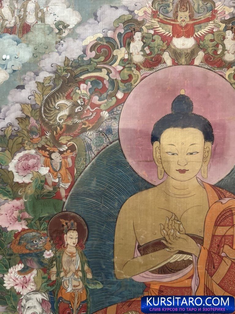 photo_2023-02-10_17-46-44-768x1024-jpg.28884