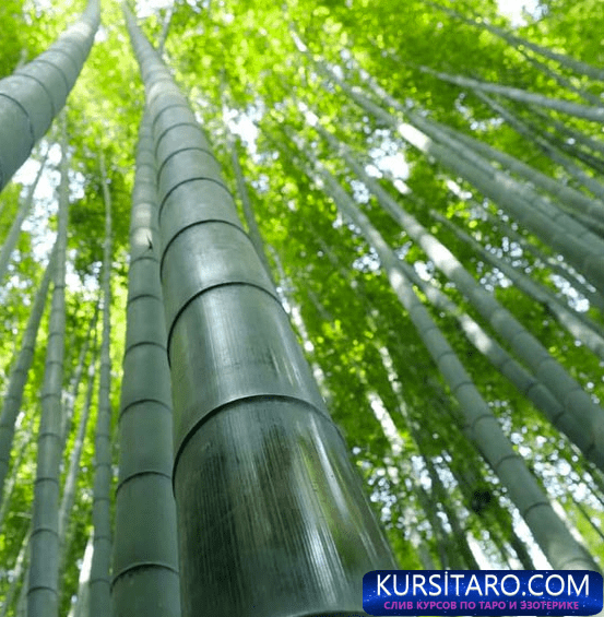 screenshot-112-png.29548