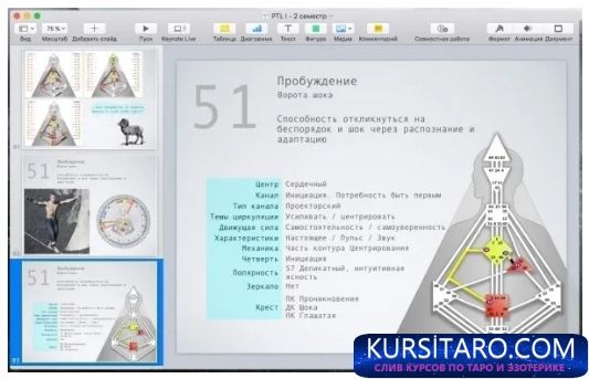 sdnuagjqiia-jpg.13608