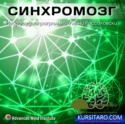 sinxromozg-png.27157