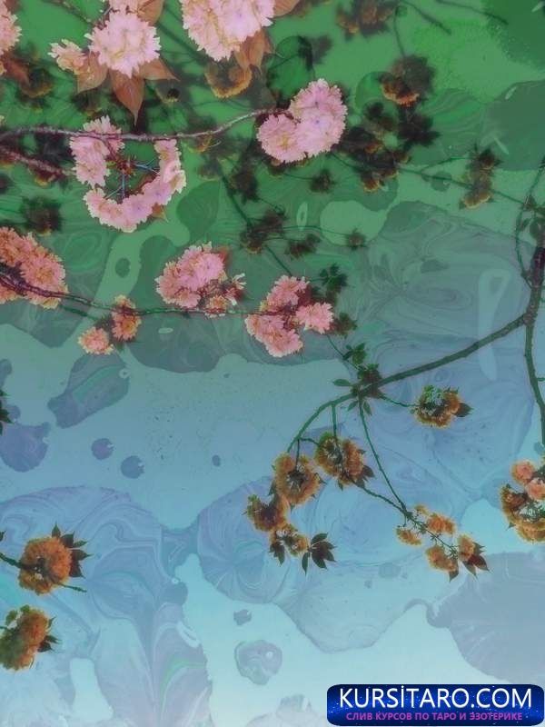 static-jpg-jpg.14946