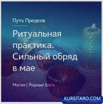 t8yrmrj2seo-jpg.14907