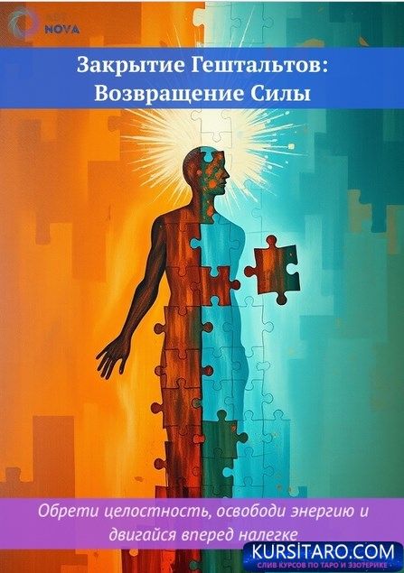 tf-rav-ibif-x-jpg.29787