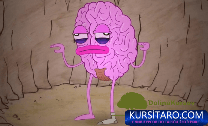 vizualizacija-png.24966