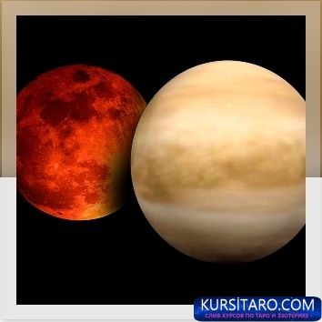 wl8z5dd5kxy-jpg.10113