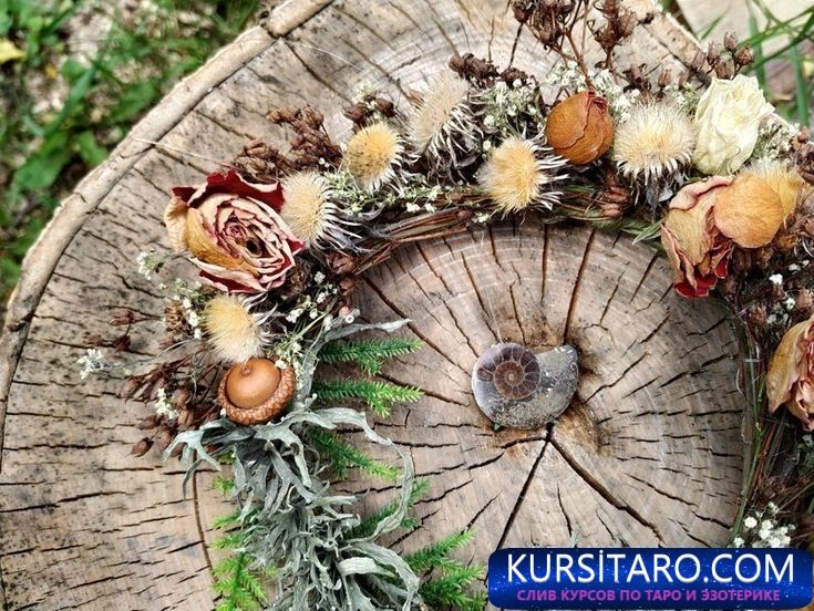 xpx5-xw-du324-jpg.6038