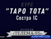 mtpur1e.png